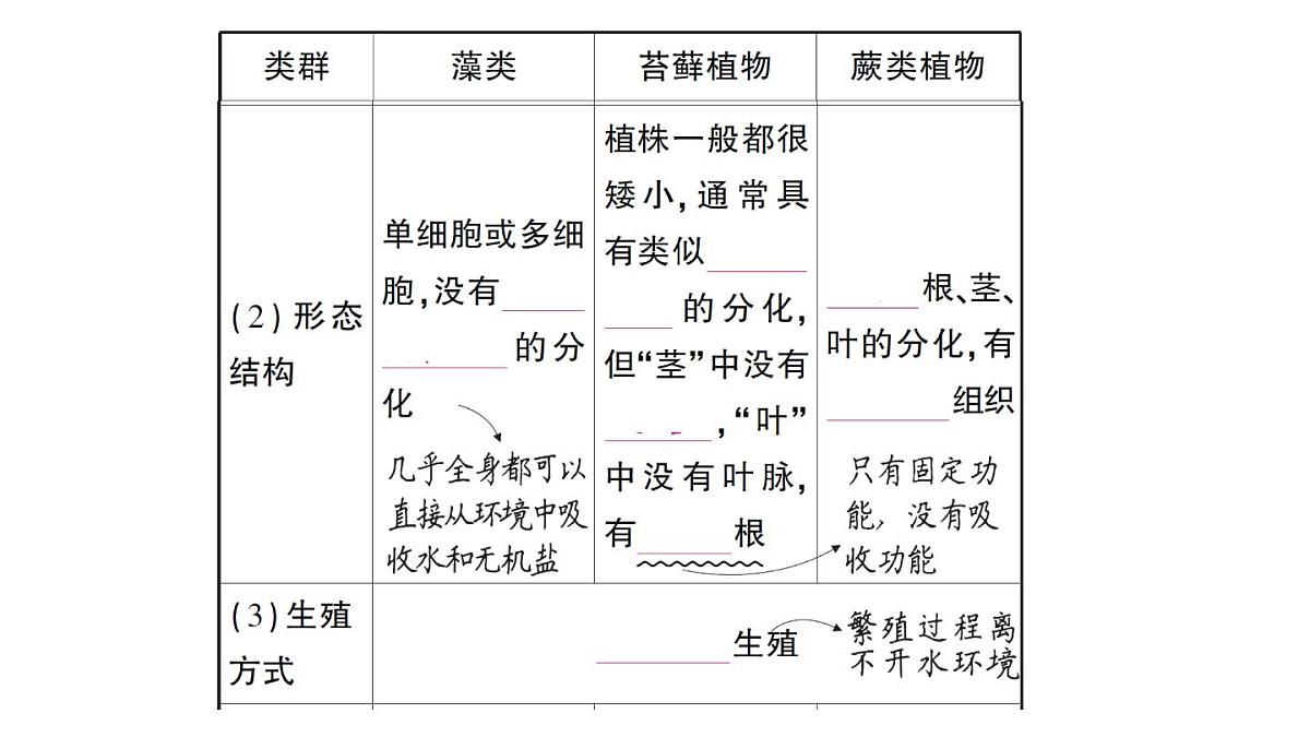 初中生物新人教版七年级上册第二单元第一章第一节 藻类、苔藓植物和蕨类植物作业课件2024秋第3页