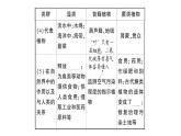 初中生物新人教版七年级上册第二单元第一章第一节 藻类、苔藓植物和蕨类植物作业课件2024秋