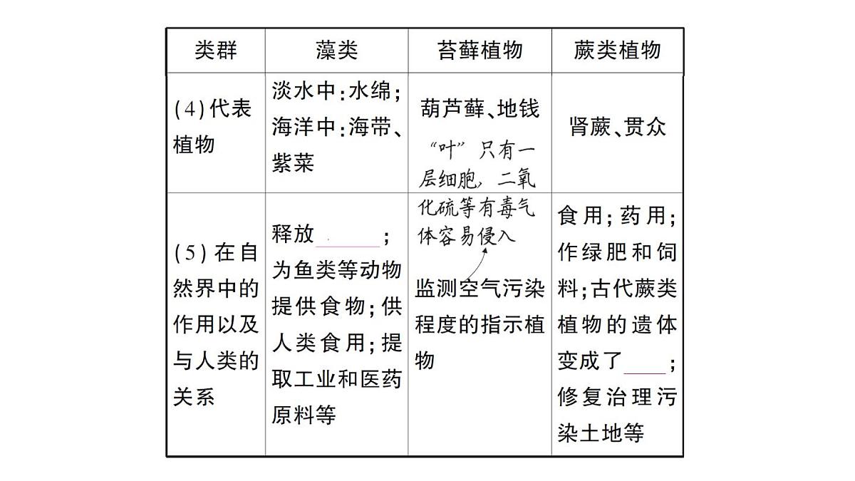 初中生物新人教版七年级上册第二单元第一章第一节 藻类、苔藓植物和蕨类植物作业课件2024秋第4页