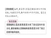 初中生物新人教版七年级上册第二单元第一章第一节 藻类、苔藓植物和蕨类植物作业课件2024秋