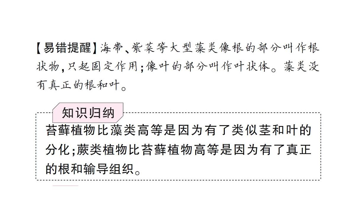 初中生物新人教版七年级上册第二单元第一章第一节 藻类、苔藓植物和蕨类植物作业课件2024秋第5页