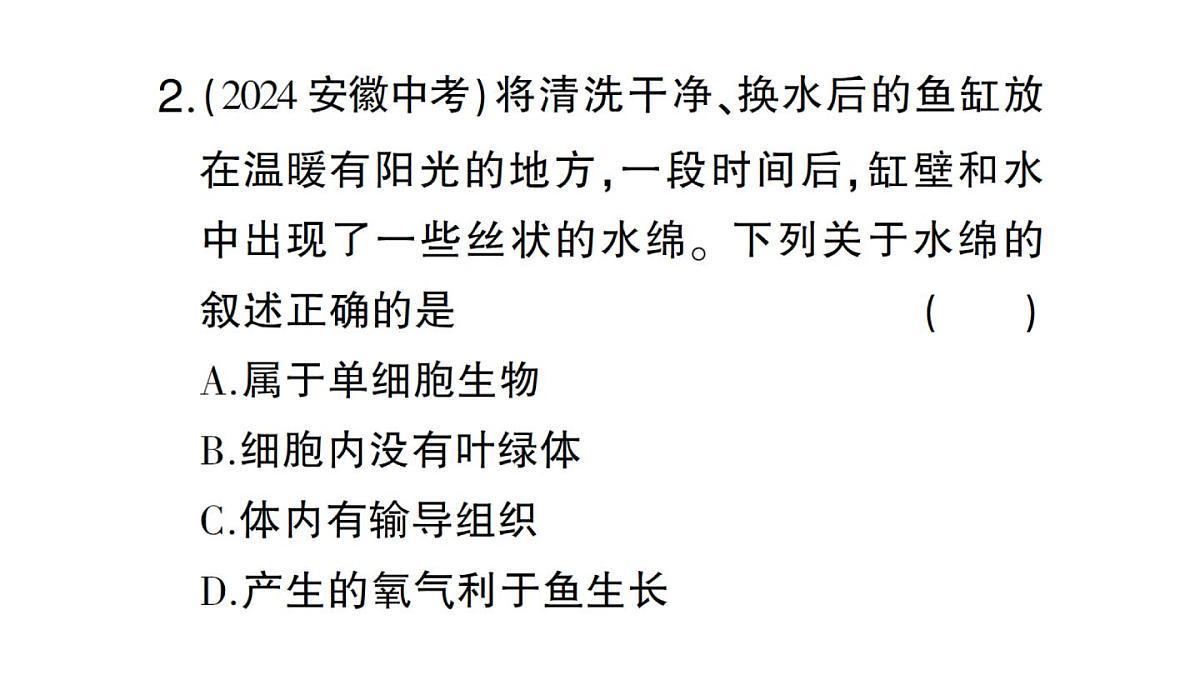 初中生物新人教版七年级上册第二单元第一章第一节 藻类、苔藓植物和蕨类植物作业课件2024秋第7页