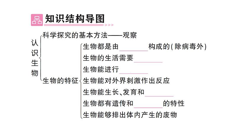 初中生物新人教版七年级上册第一单元第一、二章 总结训练作业课件2024秋第2页