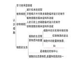初中生物新人教版七年級上冊第一單元第一、二章 總結(jié)訓練作業(yè)課件2024秋