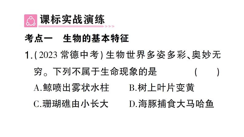 初中生物新人教版七年级上册第一单元第一、二章 总结训练作业课件2024秋第4页