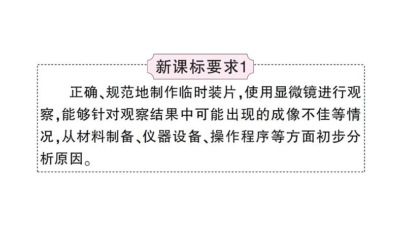 初中生物新人教版七年级上册第一单元第一、二章 总结训练作业课件2024秋第6页