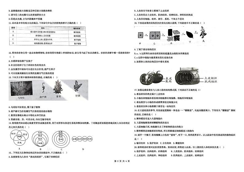 山东省齐河县刘桥乡中学2024-2025学年七年级上学期期中考试生物试题第2页