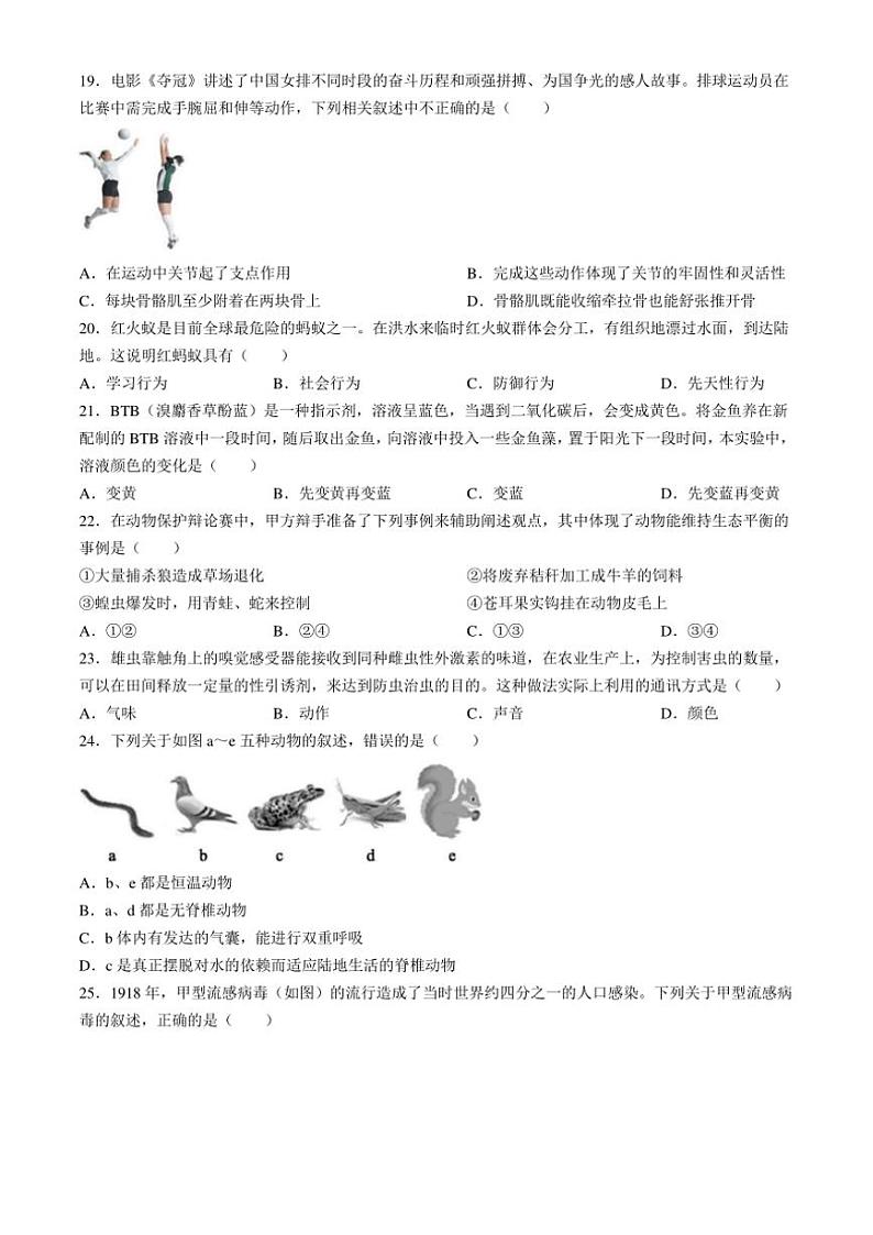 海南省文昌中学2024～2025学年八年级(上)期中生物试卷(含答案)第3页