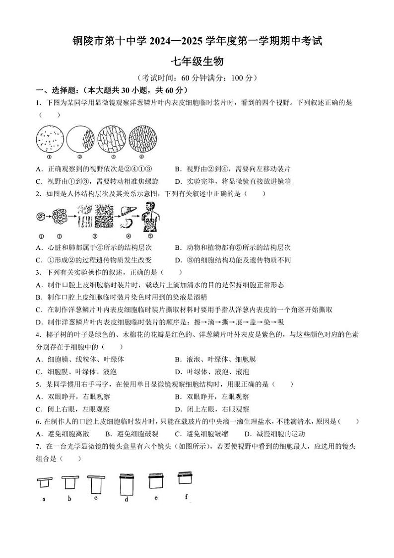 安徽省铜陵市第十中学2024～2025学年七年级(上)期中生物试卷(含答案)第1页