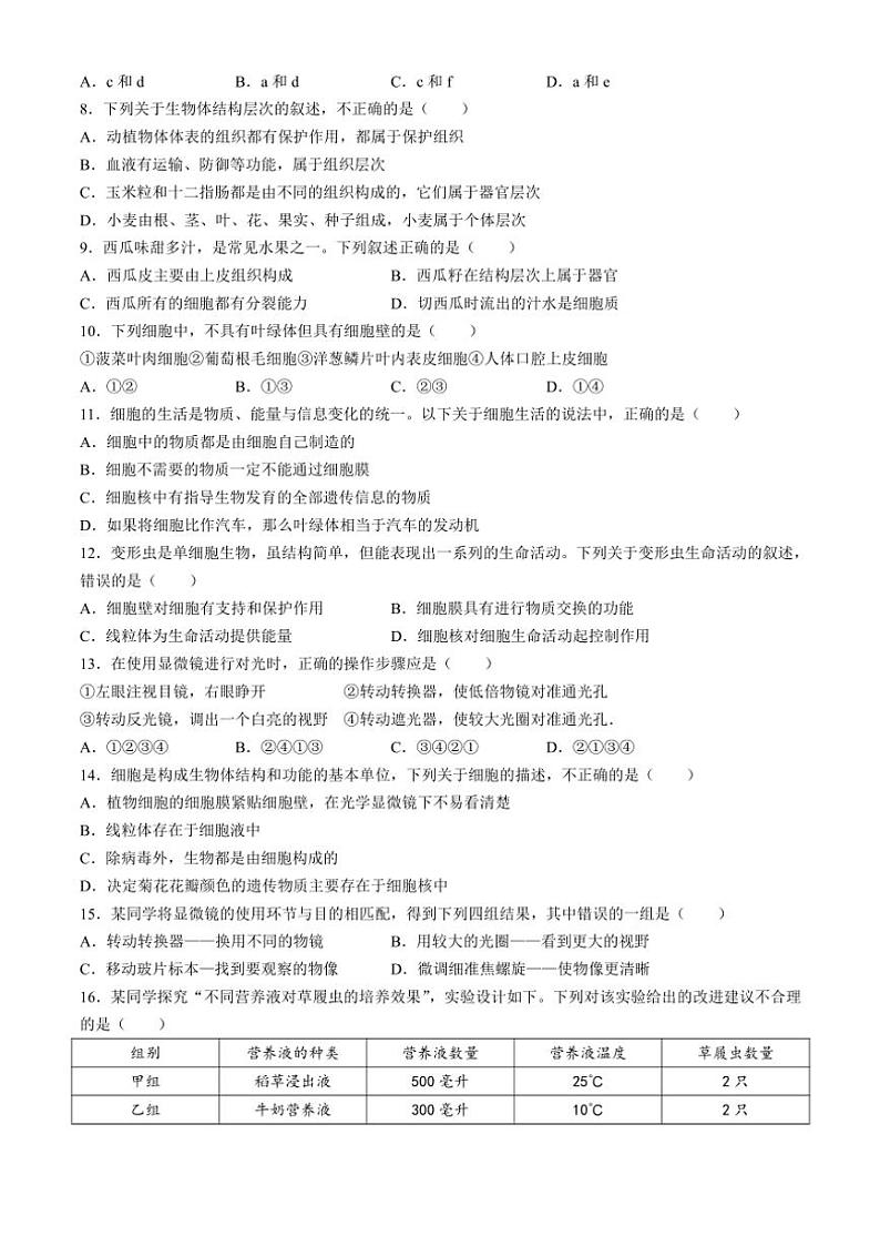 安徽省铜陵市第十中学2024～2025学年七年级(上)期中生物试卷(含答案)第2页