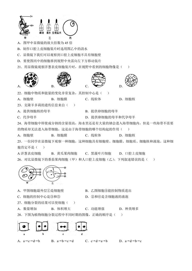 河北省保定市竞秀区2023～2024学年七年级(上)期中生物试卷(含答案)第3页