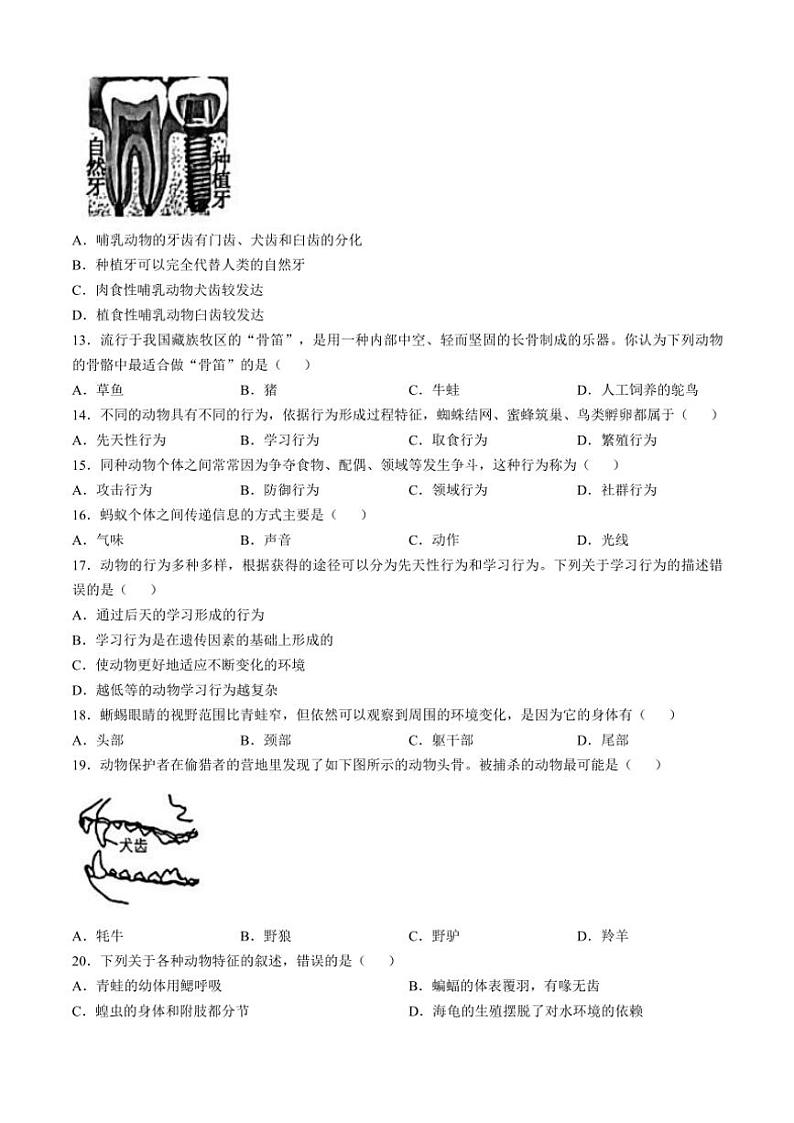 湖南省怀化市新晃侗族自治县2023～2024学年八年级(上)期中生物试卷(含答案)第3页