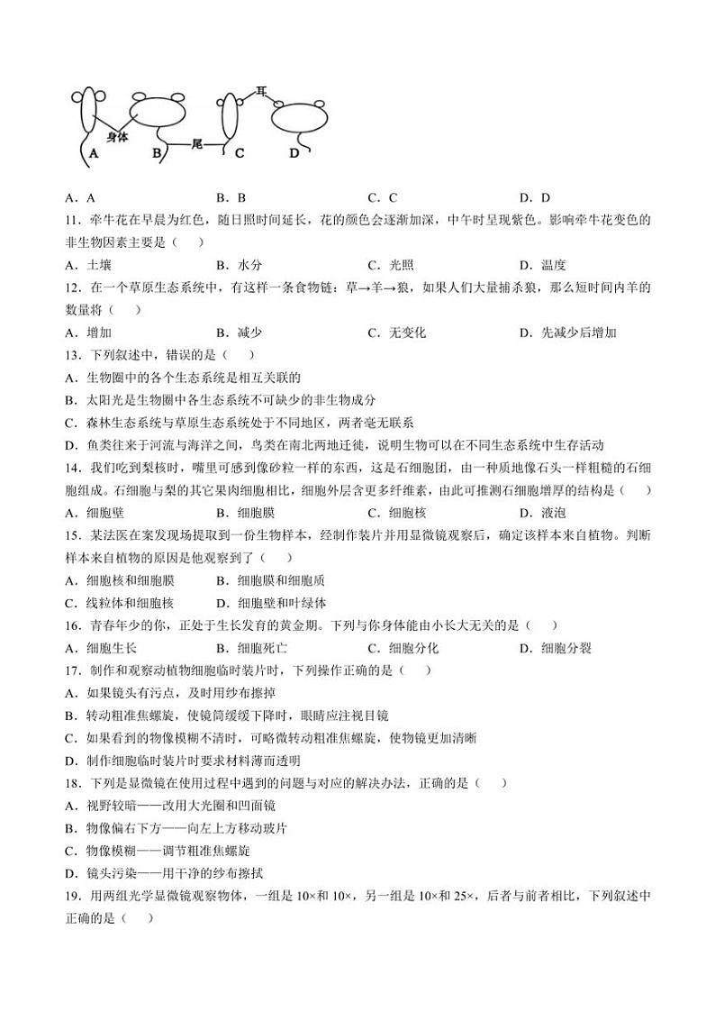 湖南省怀化市新晃侗族自治县2023～2024学年七年级(上)期中生物试卷(含答案)第2页