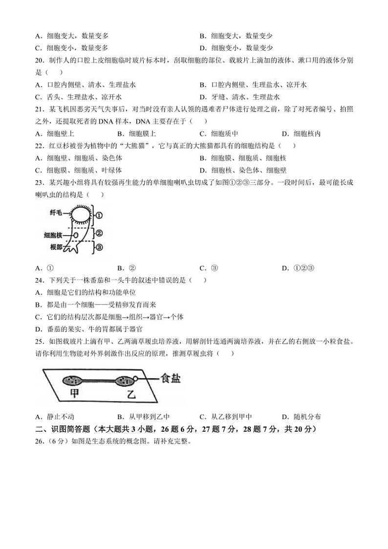 湖南省怀化市新晃侗族自治县2023～2024学年七年级(上)期中生物试卷(含答案)第3页