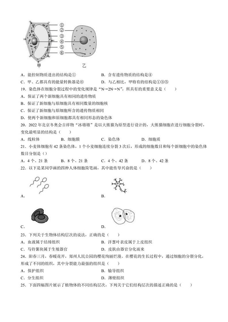 安徽省宿州市第十一中学2024～2025学年七年级(上)期中生物试卷(含解析)03