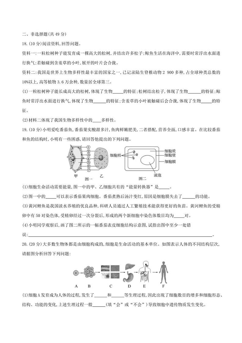 贵州省黔东南苗族侗族自治州从江县往洞中学2024～2025学年七年级(上)期中生物试卷(含答案)第3页