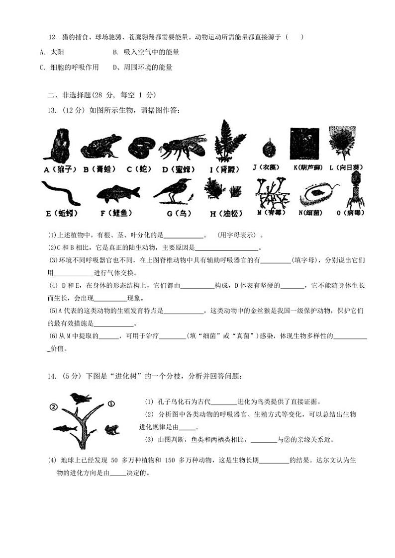 辽宁省鞍山市高新区2024～2025学年八年级(上)期中生物试卷(含答案)第3页
