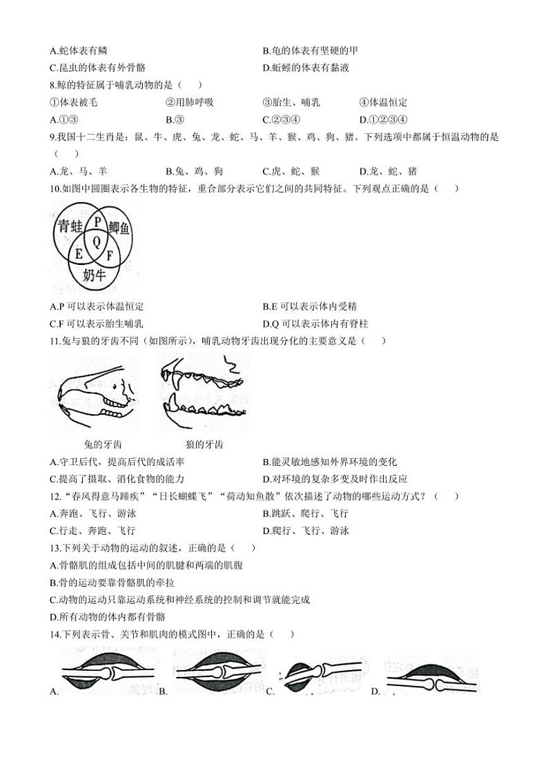 陕西省西安市高陵区2024～2025学年八年级(上)期中生物试卷(含答案)第2页