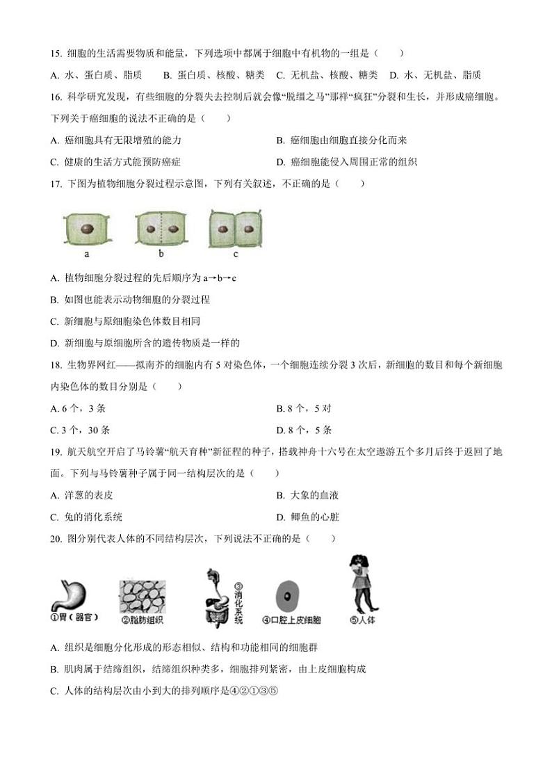 陕西省西安市高陵区2024～2025学年七年级(上)期中生物试卷(含答案)第3页