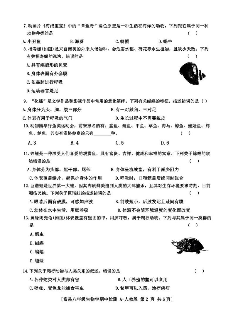 陕西省延安市富县2024～2025学年八年级(上)期中检测生物试卷(含答案)02