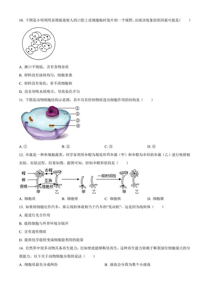 陕西省榆林市高新区2024～2025学年七年级(上)期中生物试卷(含答案)第3页