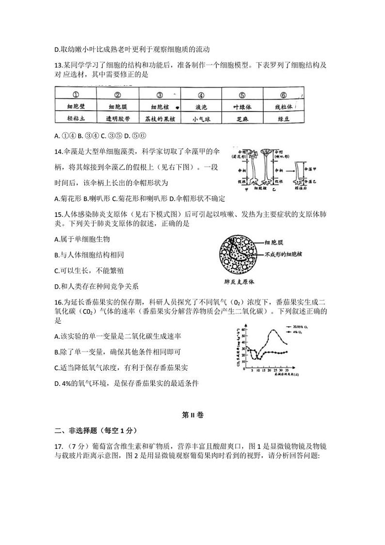江苏省南通市2024～2025学年七年级(上)期中生物试卷(含答案)第3页