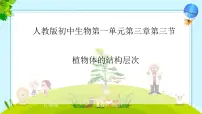 初中人教版（2024）第三节 植物体的结构层次精品课件ppt