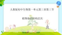 初中人教版(2024)第三节 植物体的结构层次精品课件ppt