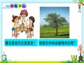 初中  生物  人教版（2024）  七年级上册  第一单元 生物和细胞  第三章 第三节 植物体的结构层次 课件
