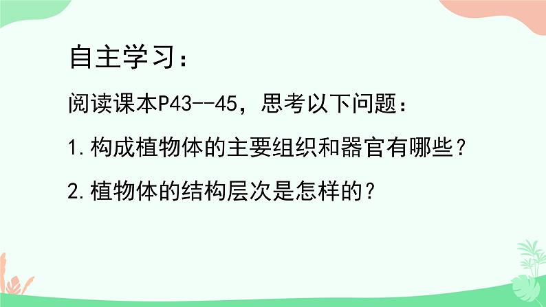 初中  生物  人教版（2024）  七年级上册  第一单元 生物和细胞  第三章第三节 植物体的结构层次 课件第3页