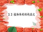 初中  生物  人教版（2024）  七年级上册  第一单元 生物和细胞  第三章第三节 植物体的结构层次 课件
