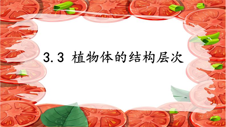 初中  生物  人教版（2024）  七年级上册  第一单元 生物和细胞  第三章第三节 植物体的结构层次 课件01