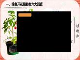 初中  生物  人教版（2024）  七年级上册  第一单元 生物和细胞  第三章第三节 植物体的结构层次 课件