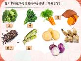 初中  生物  人教版（2024）  七年级上册  第一单元 生物和细胞  第三章第三节 植物体的结构层次 课件