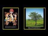 初中  生物  人教版（2024）  七年级上册  第一单元 生物和细胞  第三章第三节 植物体的结构层次 课件