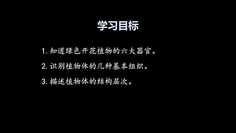 初中  生物  人教版（2024）  七年级上册  第一单元 生物和细胞  第三章第三节 植物体的结构层次 课件03