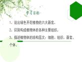 初中  生物  人教版（2024）  七年级上册  第一单元 生物和细胞  第三章第三节 植物体的结构层次 课件