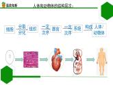 初中  生物  人教版（2024）  七年级上册  第一单元 生物和细胞  第三章第三节 植物体的结构层次 课件