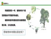 初中  生物  人教版（2024）  七年级上册  第一单元 生物和细胞  第三章第三节 植物体的结构层次 课件