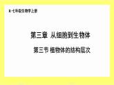 初中  生物  人教版（2024）  七年级上册  第一单元 生物和细胞  第三章第三节 植物体的结构层次 课件