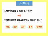 初中  生物  人教版（2024）  七年级上册  第一单元 生物和细胞  第三章第三节 植物体的结构层次 课件