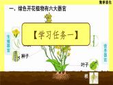 初中  生物  人教版（2024）  七年级上册  第一单元 生物和细胞  第三章第三节 植物体的结构层次 课件