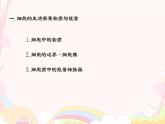 1.2.4  细胞的生活 课件 2024-2025学年 人教版 七年级上册