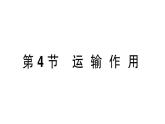 初中生物新北师大版七年级上册第3单元第4章第4节 运输作用作业课件2024秋