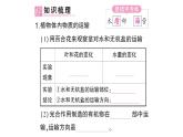 初中生物新北师大版七年级上册第3单元第4章第4节 运输作用作业课件2024秋