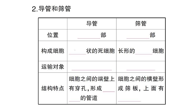 初中生物新北师大版七年级上册第3单元第4章第4节 运输作用作业课件2024秋03