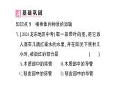初中生物新北师大版七年级上册第3单元第4章第4节 运输作用作业课件2024秋