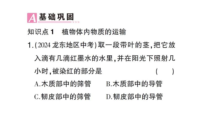 初中生物新北师大版七年级上册第3单元第4章第4节 运输作用作业课件2024秋04