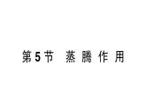 初中生物新北师大版七年级上册第3单元第4章第5节 蒸腾作用作业课件2024秋