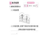 初中生物新北师大版七年级上册第3单元第4章第5节 蒸腾作用作业课件2024秋